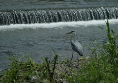 獲物は見えますか？・・・