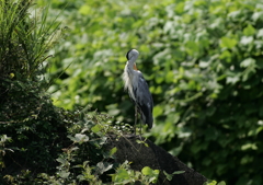 自由自在・・・②