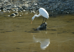 見つめる・・・