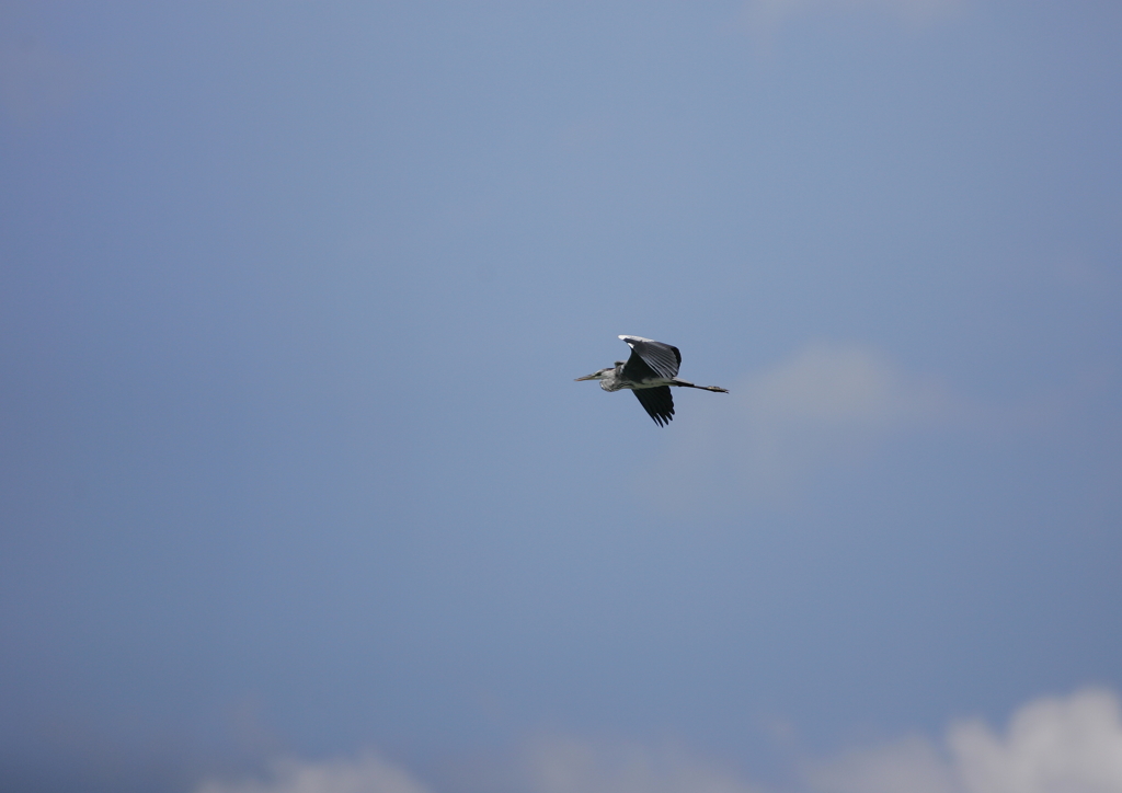 6..飛ぶ・・・⑥