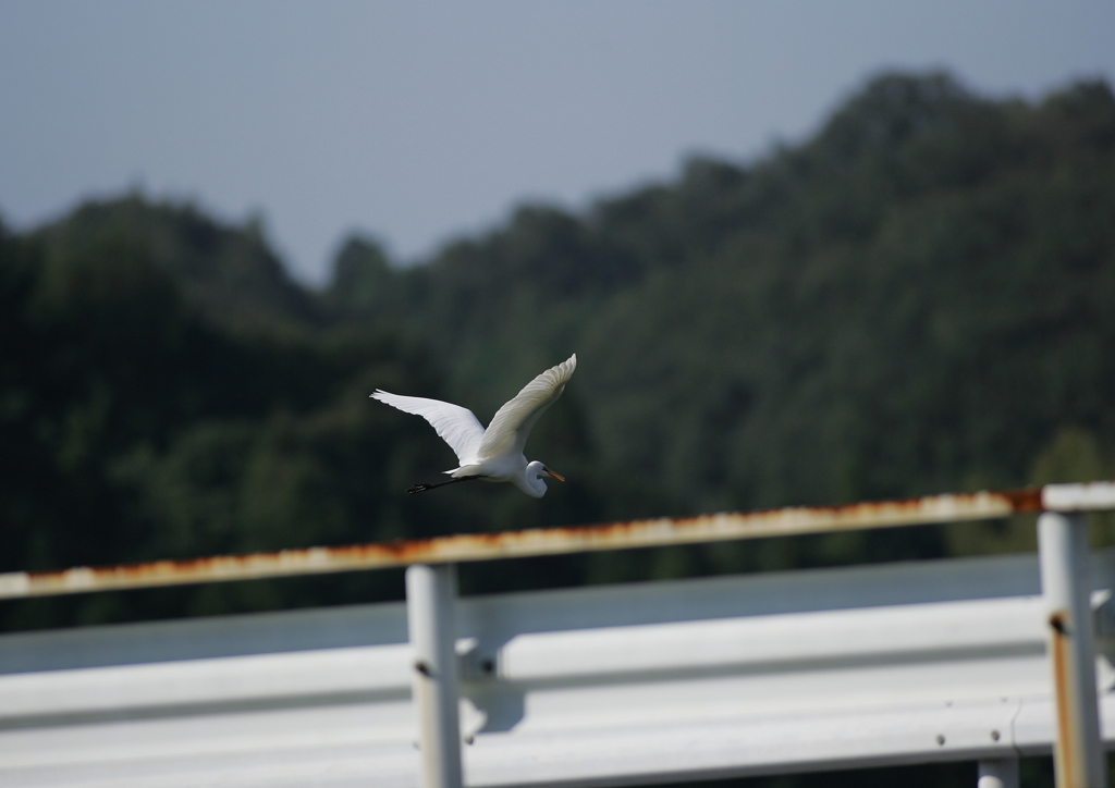 9.人の気配！逃げなきゃ・・・⑧