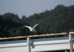 9.人の気配！逃げなきゃ・・・⑧