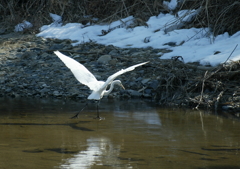 フィギアスケート？・・・