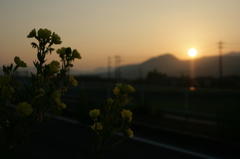 一日の始まり・・・