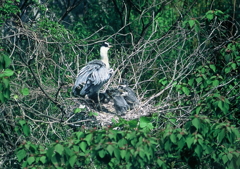 4.おかぁちゃん、行っちゃうの？・・・