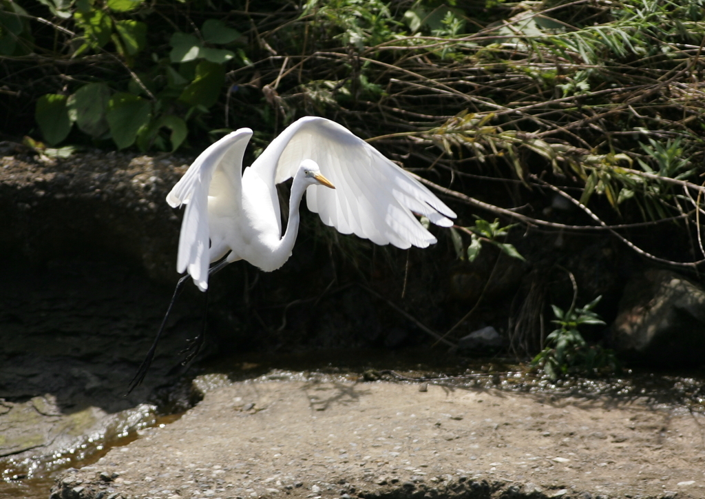 3.飛び立つ・・・②