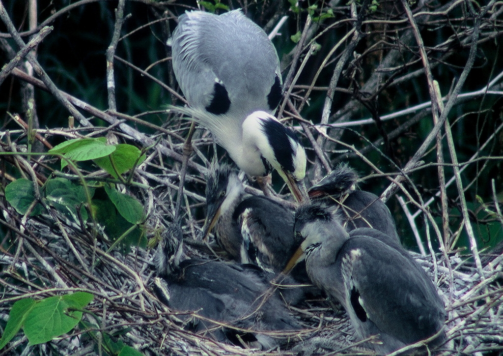 子供たちの世話・・・