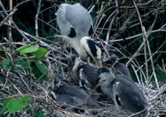 子供たちの世話・・・
