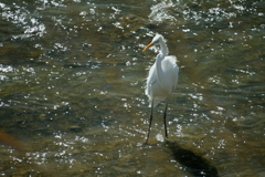 まだまだ寒いね・・・