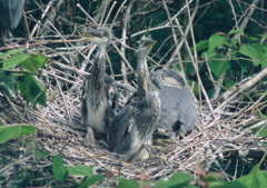 好奇心旺盛・・・