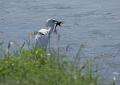 6.捕らえた獲物は・・・⑥