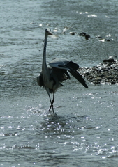 決めポーズ？(^-^)