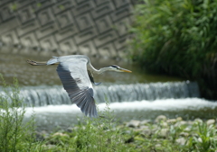 着陸態勢・・・