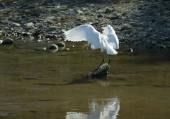 独り舞台・・・③
