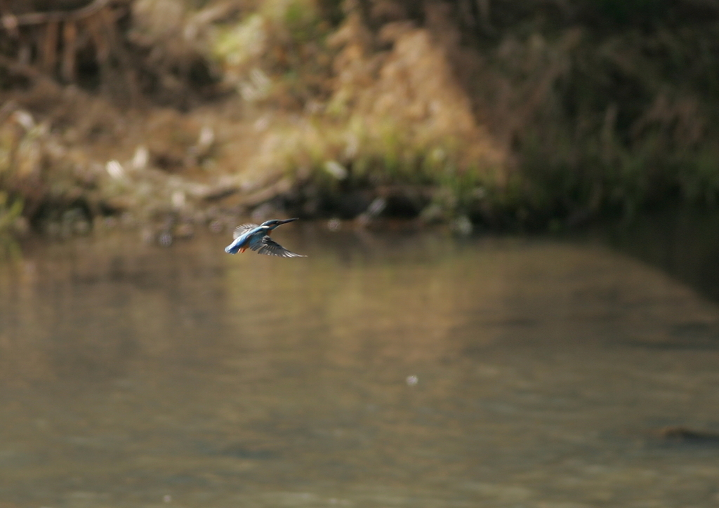 偶然カワさん(^-^)③