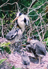 大事な我が子・・・