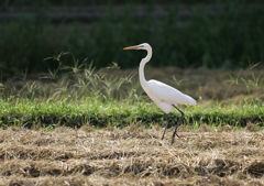 さぁ、行こう・・・