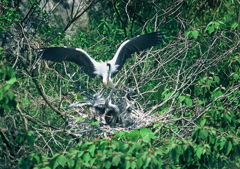 3.お、おかぁちゃ～ん・・・