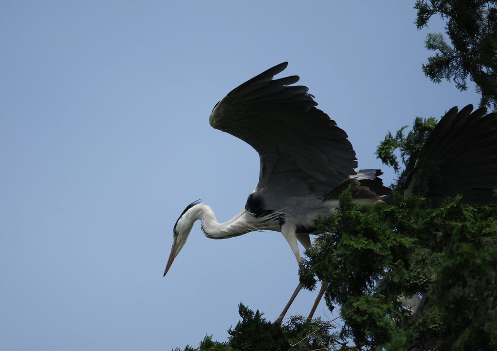 狙いを定めて・・・