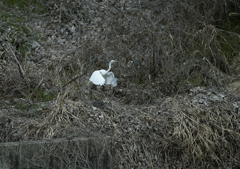 あっ、ごめんね・・・