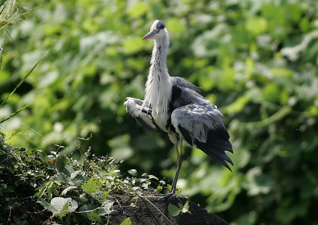 軽めのブルブル・・・⑤
