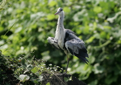 軽めのブルブル・・・⑤