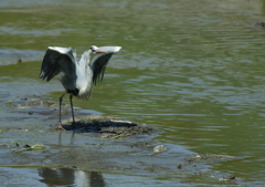 さぁ、行くか！