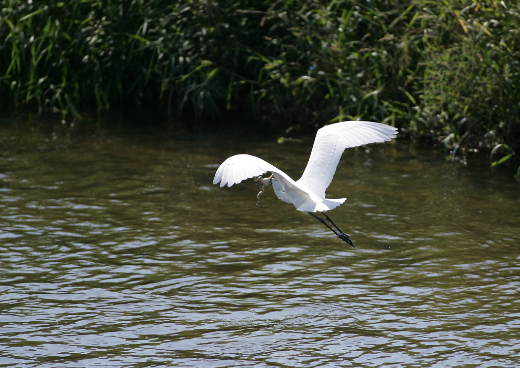 8.どこまで連れて行くの？④