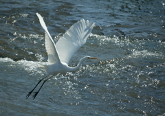 輝きの中で・・・②