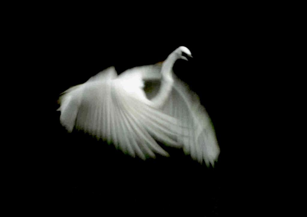 幻想的・・・。