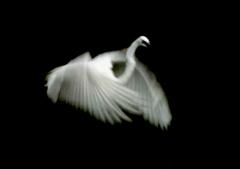 幻想的・・・。