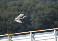 4.人の気配！逃げなきゃ・・・③