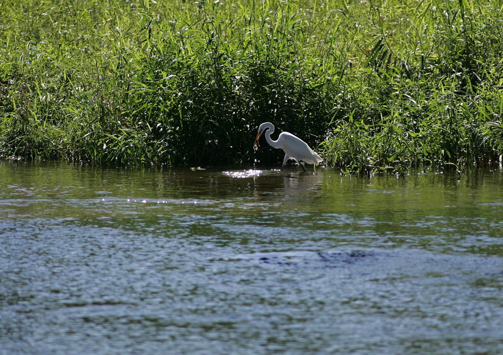 狩猟中・・・⑦（獲った！）
