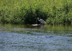 狩猟中・・・⑦（獲った！）