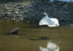 独り舞台・・・②