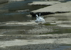 ブルブルッ・・・②