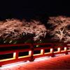 鶴ヶ城下のライトアップ