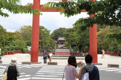 鎌倉・鶴岡八幡宮