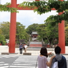 鎌倉・鶴岡八幡宮