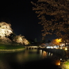 2017-04-14_彦根城 夜桜 (4)