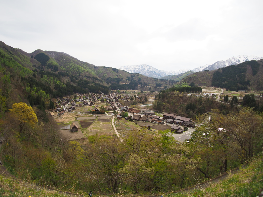 白川郷_2017-05 (7)