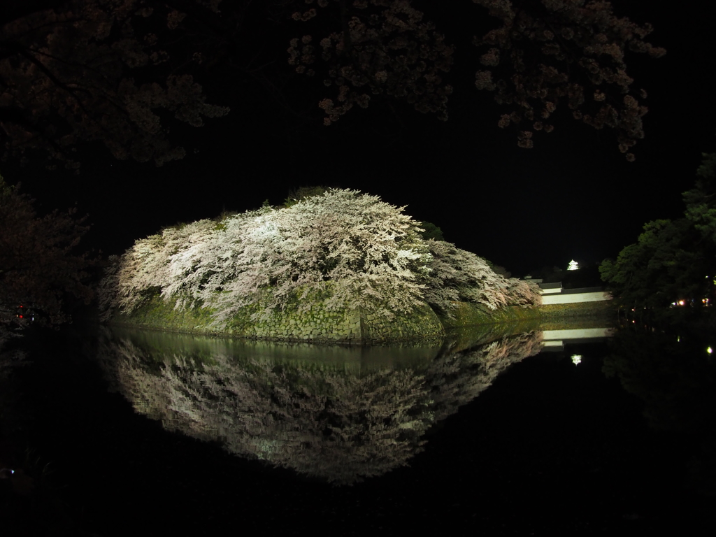 2017-04-14_彦根城 夜桜 (8)
