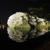 2017-04-14_彦根城 夜桜 (2)