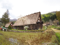 白川郷_2017-05 (3)