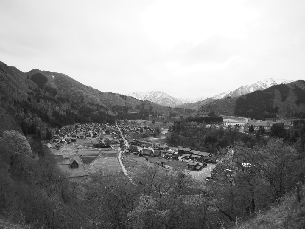 白川郷_2017-05 (8)