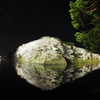 2017-04-14_彦根城 夜桜 (1)