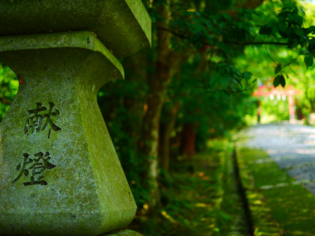 霞む鳥居
