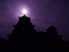 輝く熊本の城