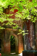 P1100791