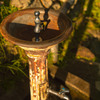 金華山の水道
